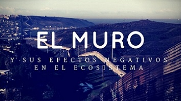 el muro y sus efectos negativos en el ecosistema