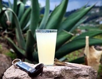 el pulque