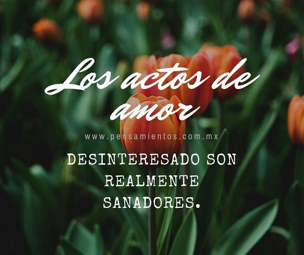 amor propio