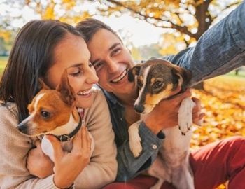 en febrero festejamos el d�a de consentir a tu mascota