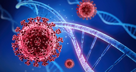 �qu� es una variante del virus?